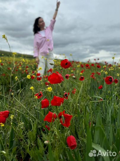 Дагестан. Большой Сулакский каньон. Пик Гагарина