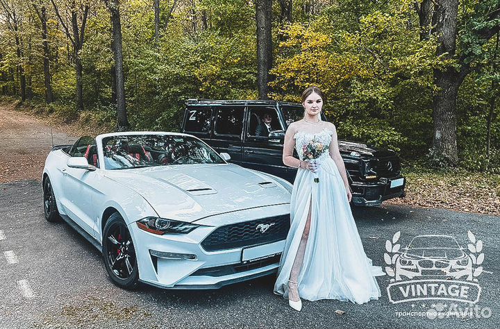 Прокат авто с водителем. Mercedes. Camry. Mustang