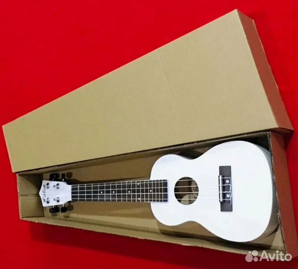 Акустические и классические гитары Belucci