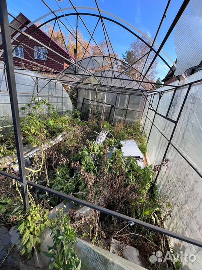 Теплица 4х6 бу