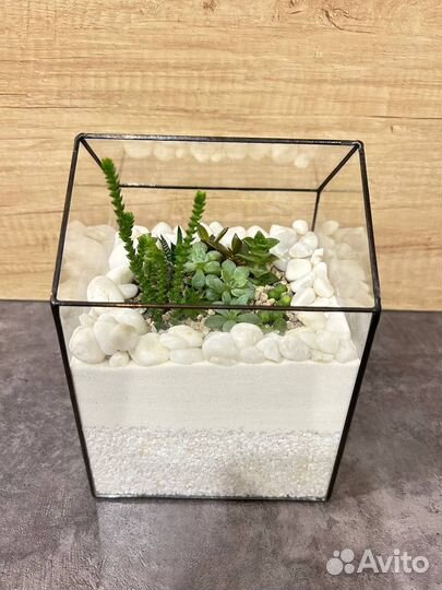 Флорариум/ Подарок/ Цветы/ Букет/Суккуленты/Кактус