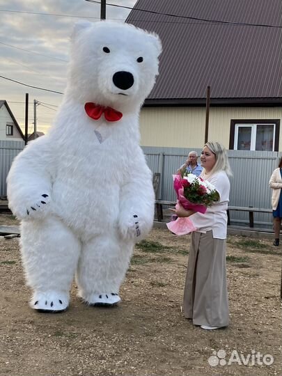 Медведь на праздник