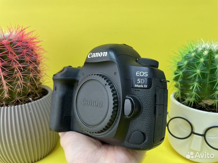 Canon EOS 5D Mark IV
