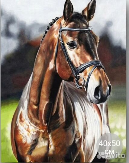 Картины по номера и алмазная мозаика новые