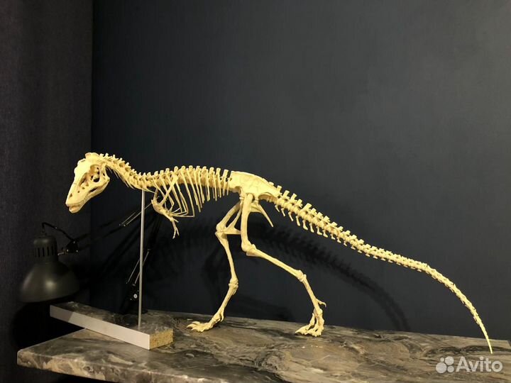 3d печать, 3d моделирование и 3d сканирование