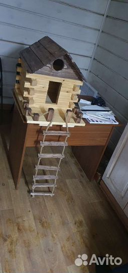 Кормушка для белок и птиц