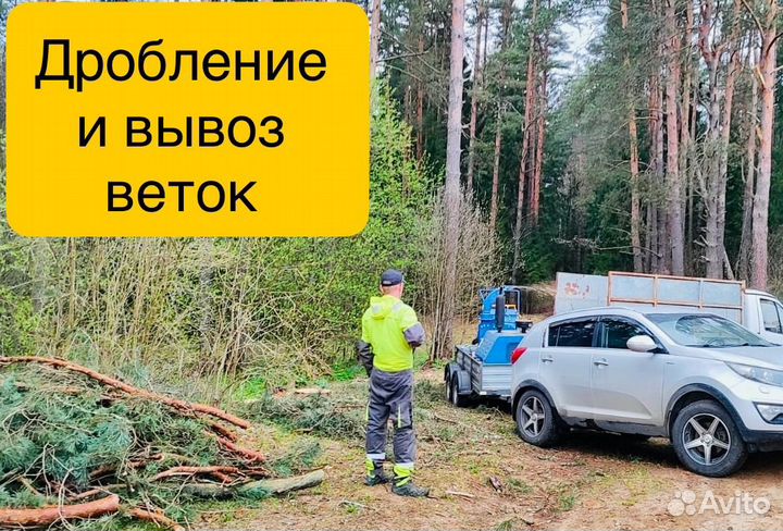 Расчистка участков. Спил деревьев
