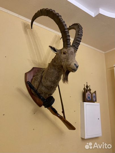 Охота и рыбалка отдых