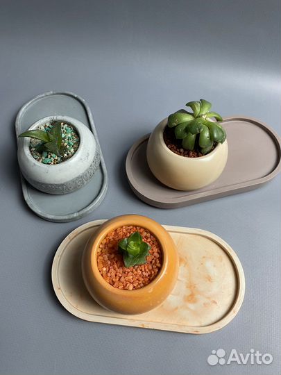 Поднос из гипса и суккулент