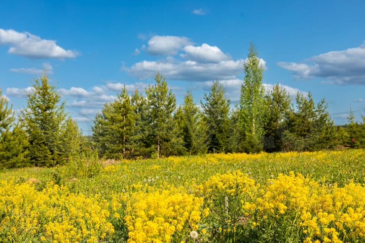 Участок 8 сот. (ИЖС)