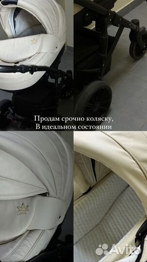 Коляска Lotus 3 в 1