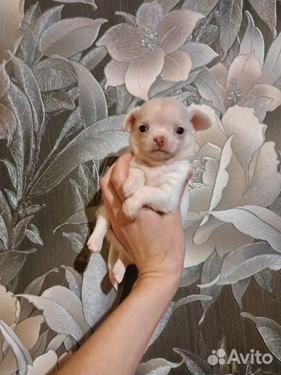 Снеговичок