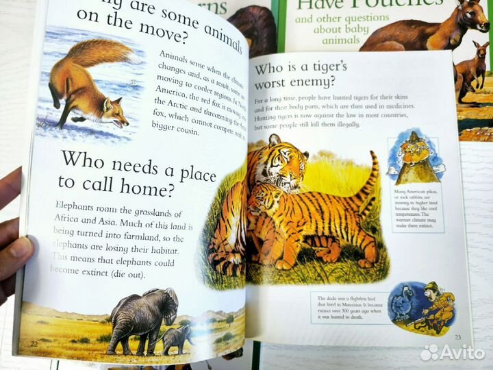 I Wonder whyновые книги на английском языке