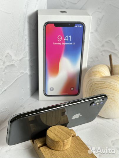 iPhone X, 256 ГБ