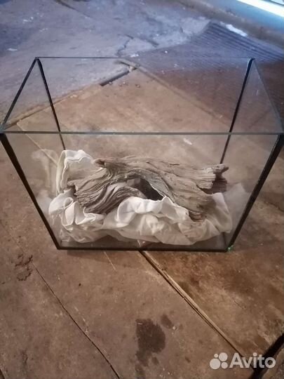 Аквариумные рыбки