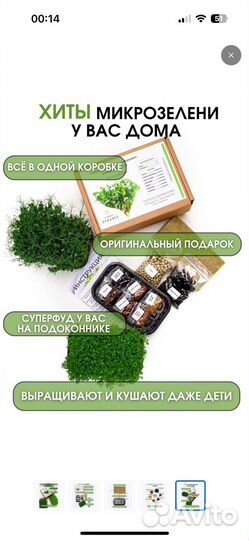 Набор для выращивания микрозелени 10 урожаев