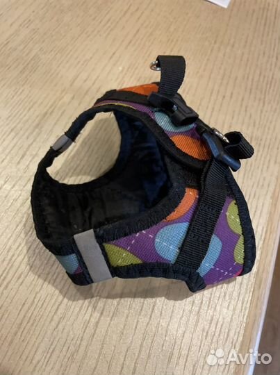 Свитерок и шлейка мягкая для маленькой собачки