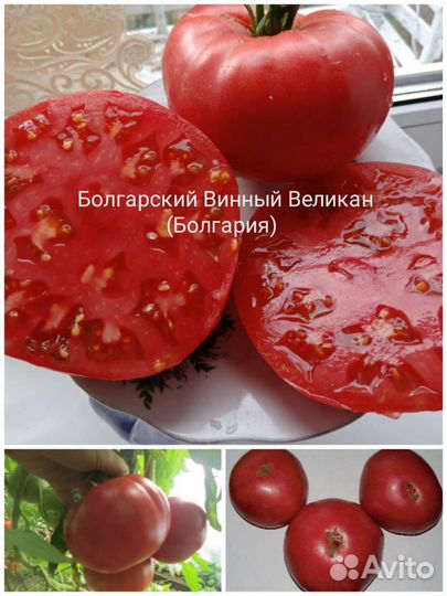 Семена томатов