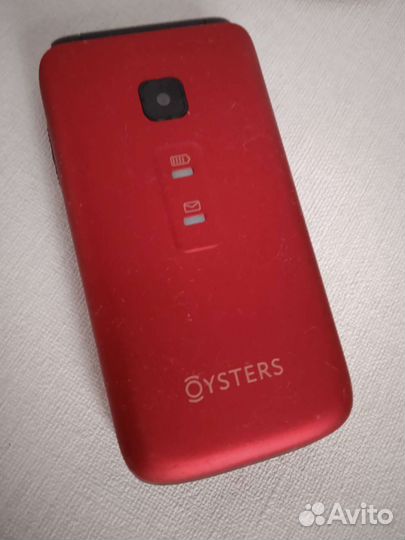 Oysters Ulan-Ude