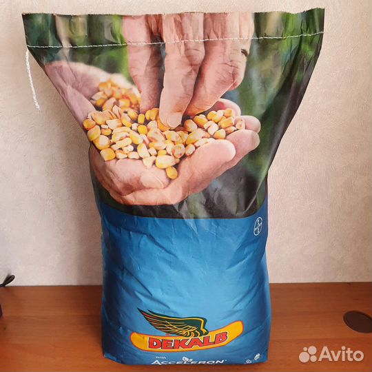 Семена кукурузы дкс-3169 deklab/bayer