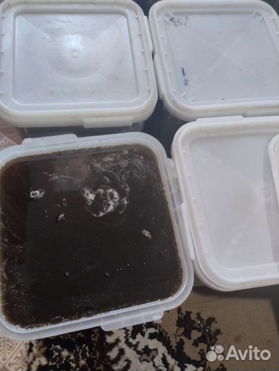 Мёд-тот, который вам нужен