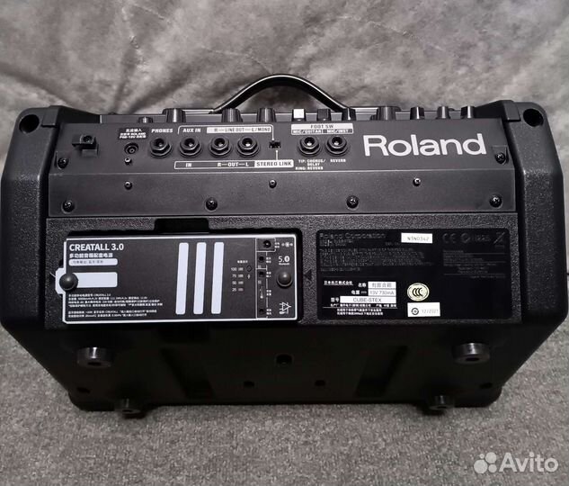 Roland cube street ex
