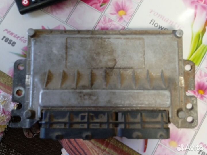 Эбу мозги для газели