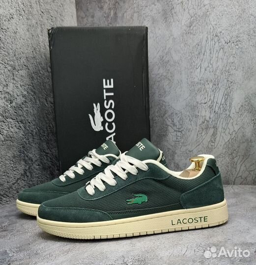 Мужские Кроссовки Lacoste