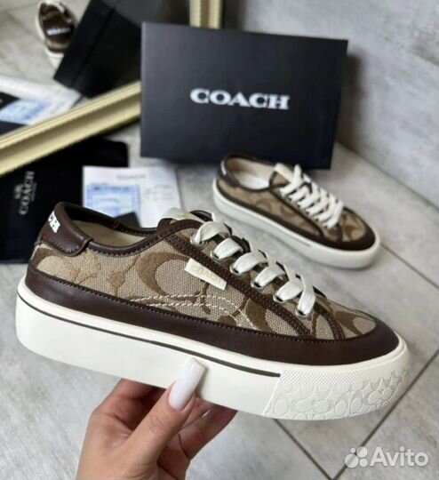 Кеды женские coach