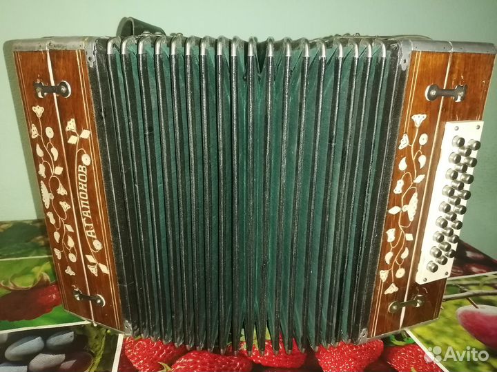Гармонь нижегородская