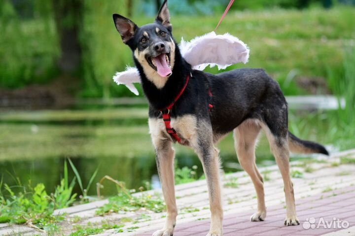 Мечтает о семье