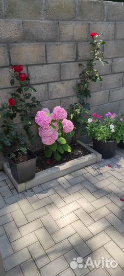 Жильё в Абхазии