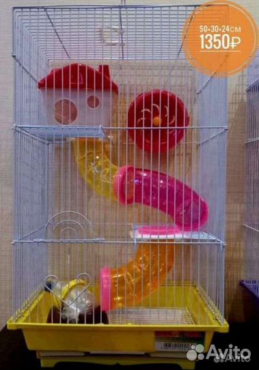 Хомяки-разноцветные окрасы