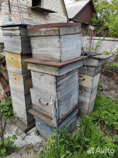 Улей для пчел