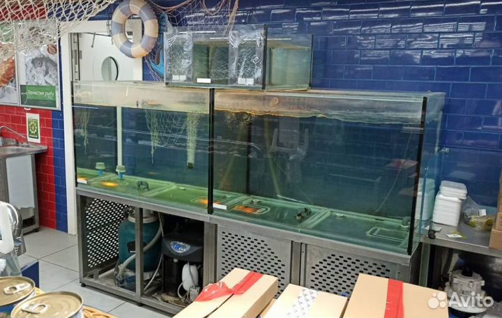 Продаются аквариумы для продажи живой рыбы