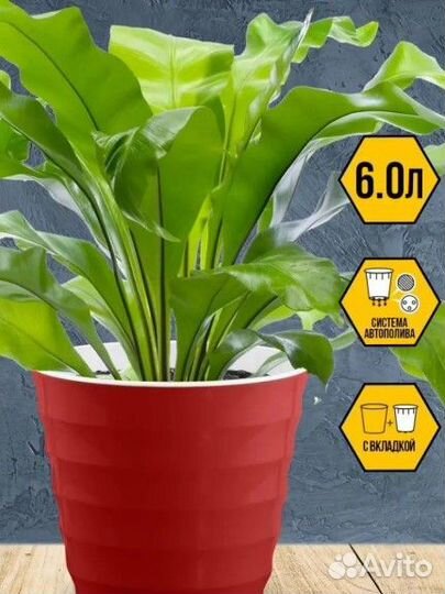 Цветочный горшок