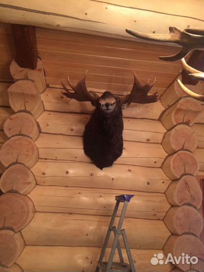 Каминная печь