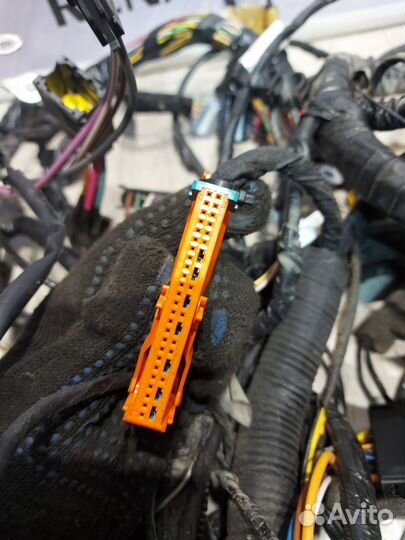 Проводка салона коса Nissan almera G15