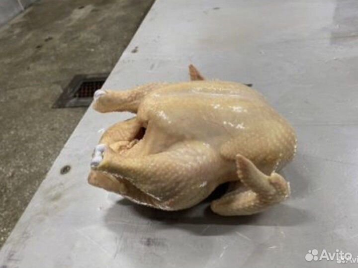 Куры бройлеры тушки мясо