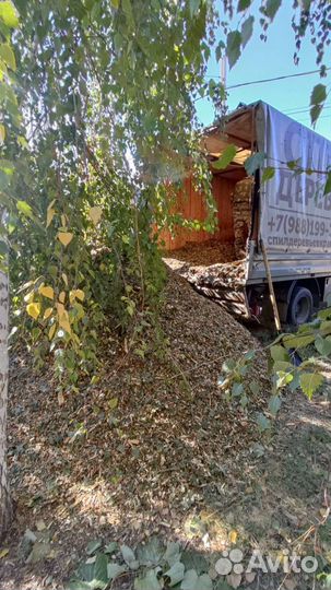 Щепа, мульча, органическое удобрение Бесплатно