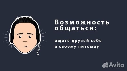 Вакцинация и чипирование Колтушское сп