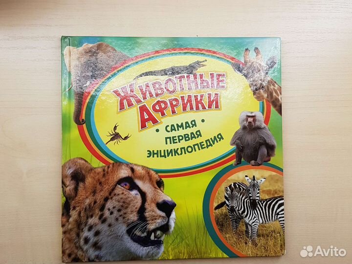 Книга-энциклопедия 