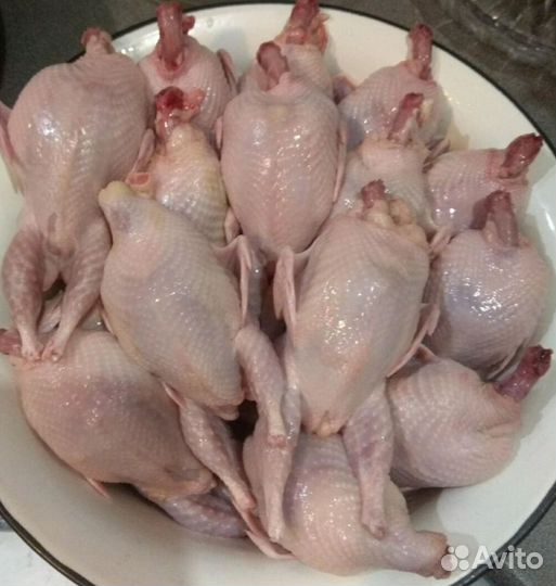 Мясо домашнего бройлера, мясо и яйца перепелок