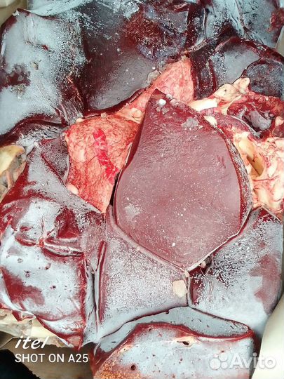 Субпродукты для собак