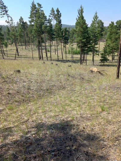 Участок 6 сот. (ИЖС)