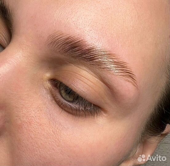 Брови Виз. Академ