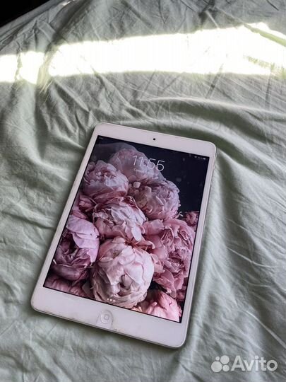 iPad mini 2 retina