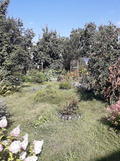 Дача 37 м² на участке 5 сот.