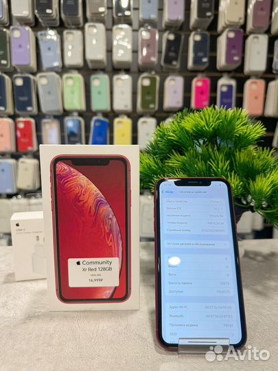 iPhone Xr, 128 ГБ