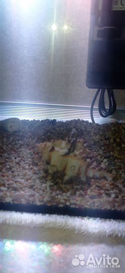 Аквариум с рыбками